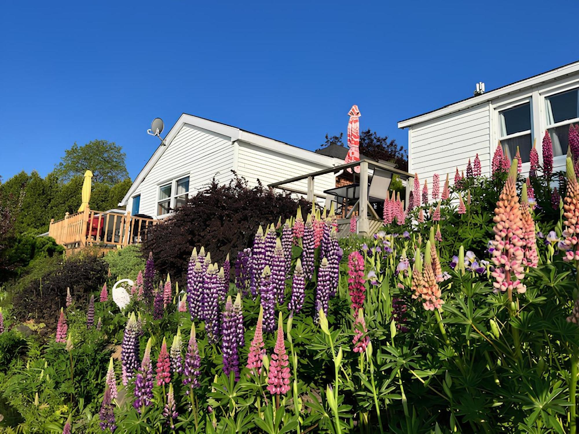 Dewar'S Inn And Cottages Prescott Extérieur photo